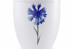 Kornblume